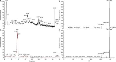 Endophytic Fungi of Native Salvia abrotanoides Plants Reveal High Taxonomic Diversity and Unique Profiles of Secondary Metabolites